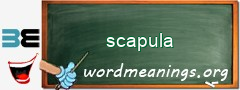 WordMeaning blackboard for scapula